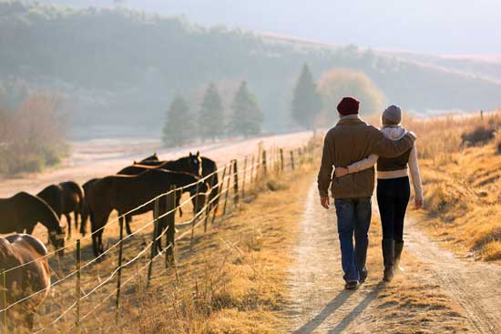 
Don’t surrender to feelings of farming frenzy; instead, slow down and relish your gradual homestead successes.
